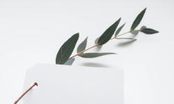 Featured image of post My First Post